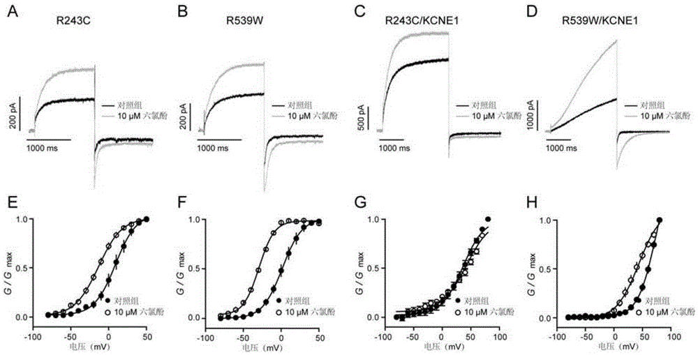 Application of hexachlorophenol in the preparation of voltage-gated potassium channel agonists