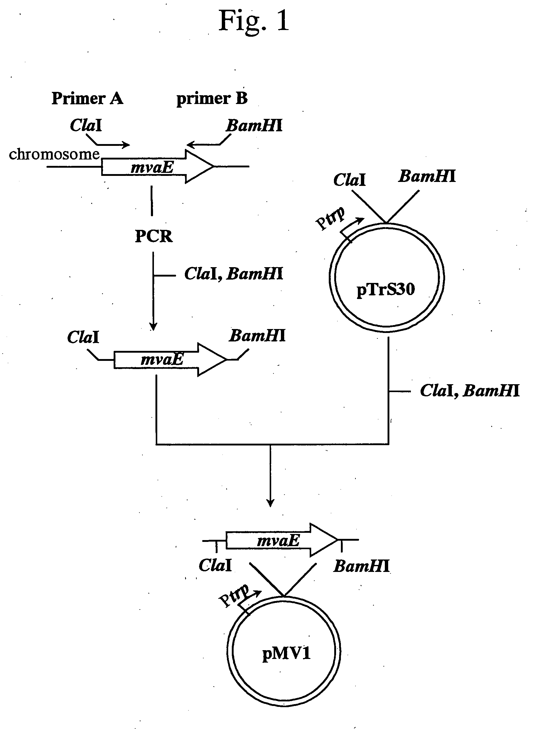 Process for producing mevalonic acid