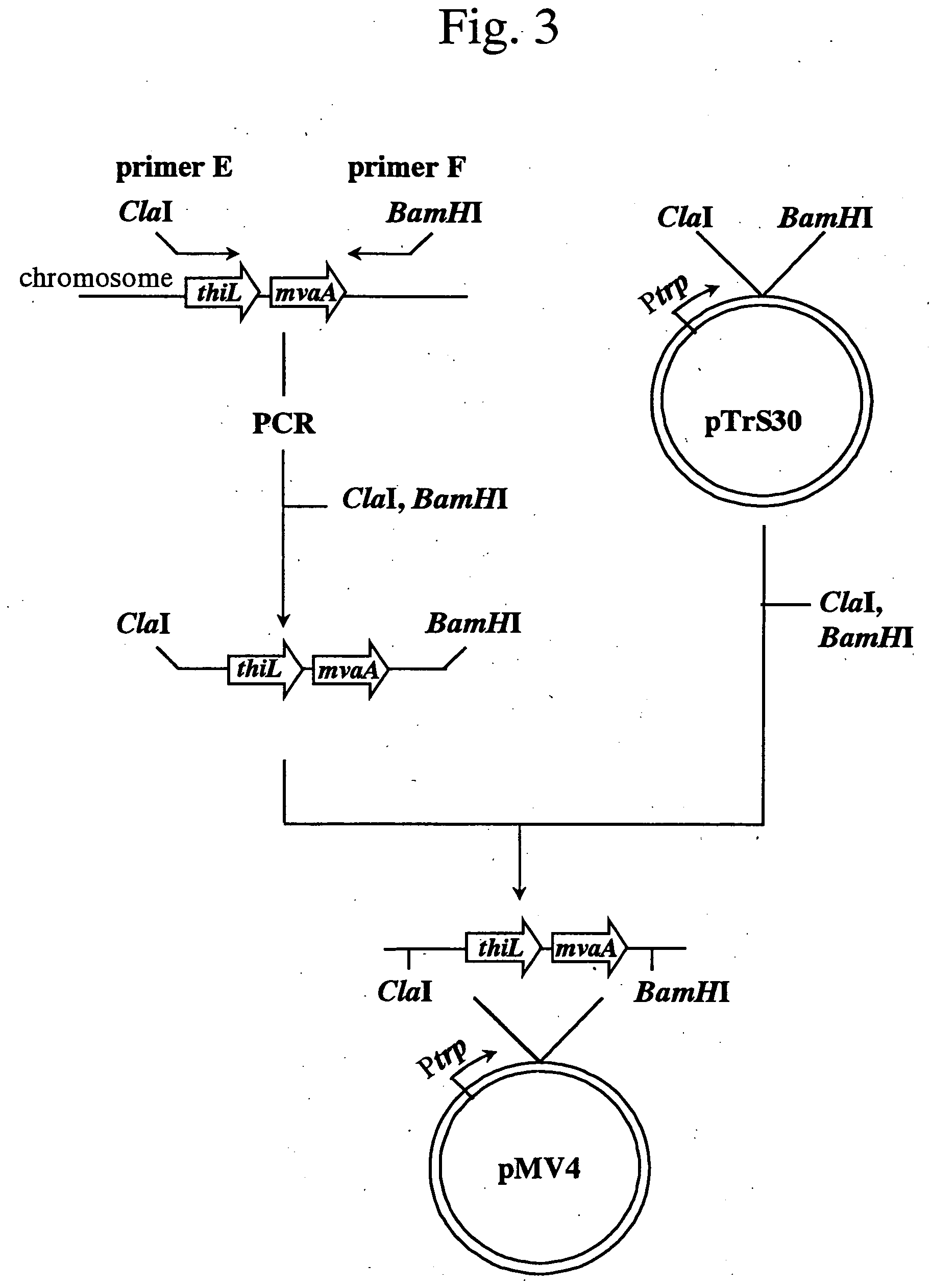 Process for producing mevalonic acid