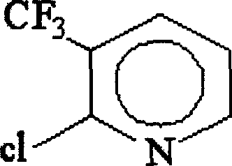 Preparation method of 2,3-dichlorin-5-trifluoro picoline