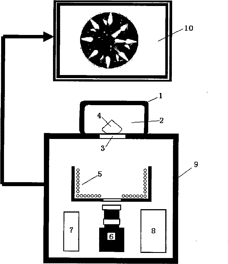Method and instrument for measuring and displaying optical effect of diamond