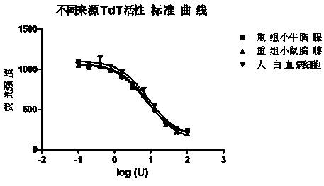 Method for measuring activity of terminal deoxynucleotidyl transferase