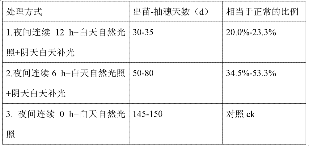 Method for increasing 3-4 generations of winter wheat filial generation in one year by utilizing climatic conditions