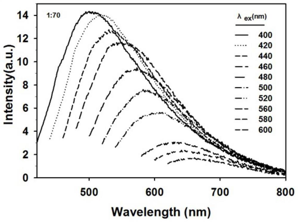 Preparation and testing method of a non-conjugated fluorescent polymer