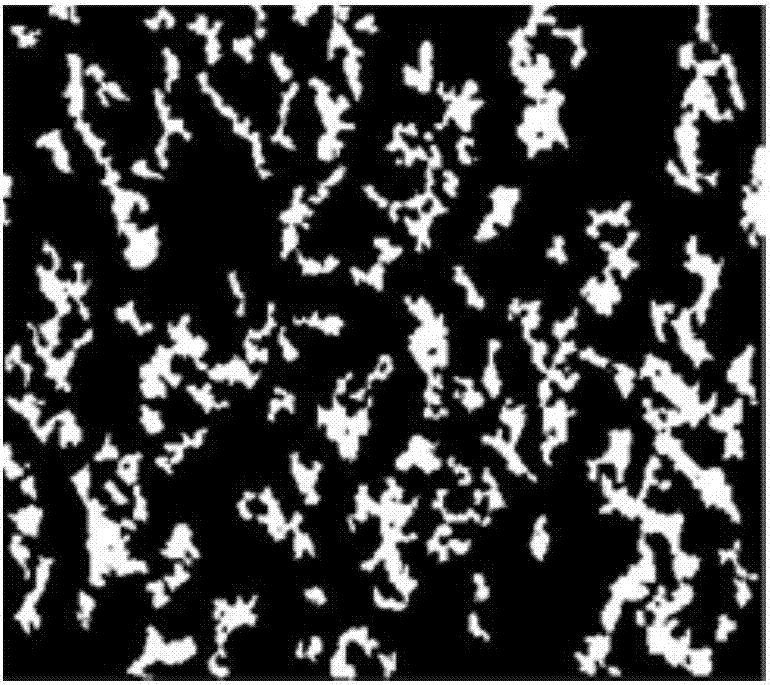 Method for detecting and evaluating distribution uniformity of bituminous pavement aggregate