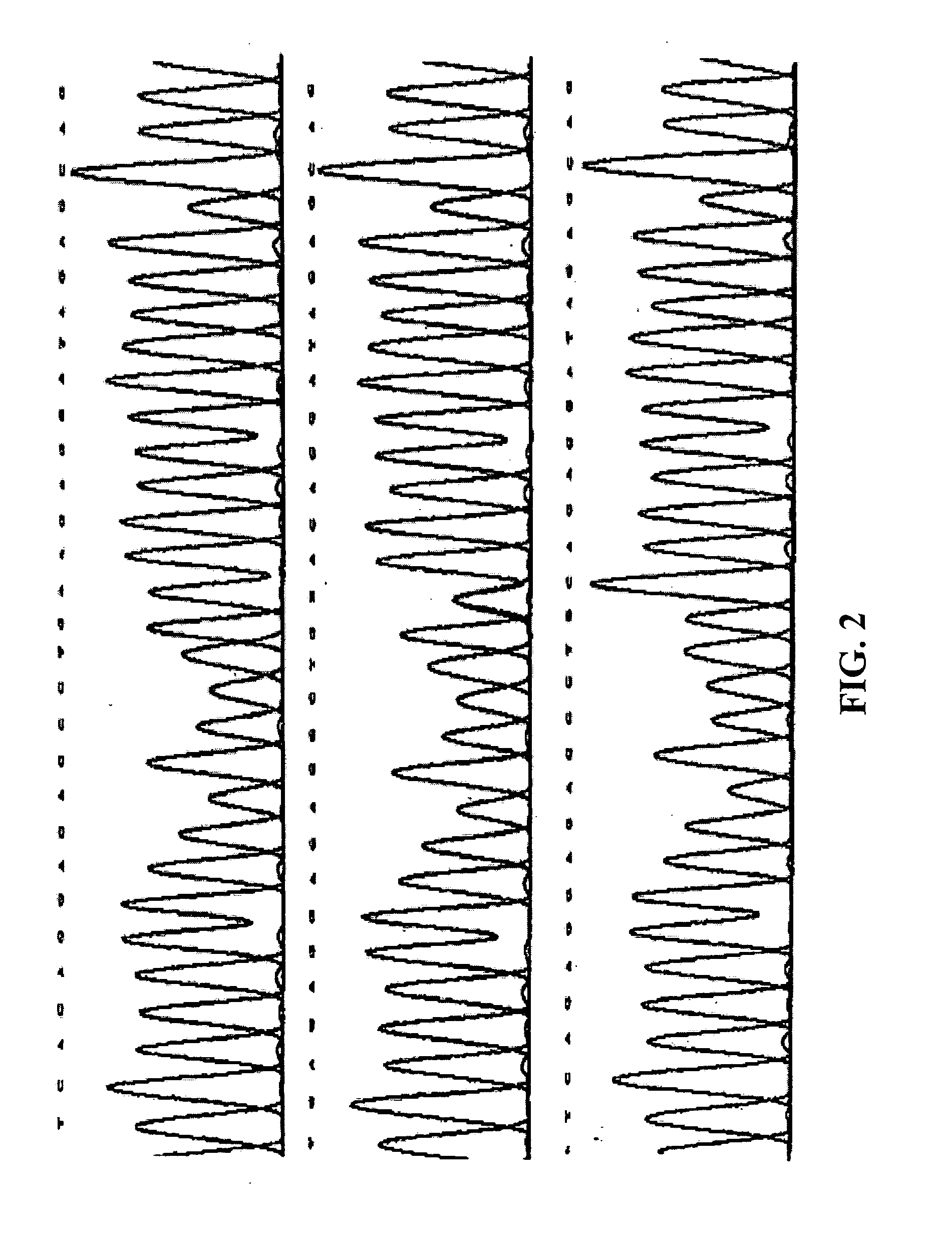 Assay device of XPD/ERCC2 gene polymorphisms for the correct administration of chemotherapy in lung cancer