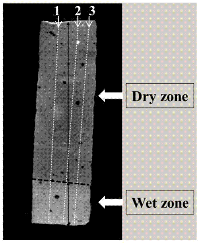 A method for visually characterizing the spatial distribution and content of moisture in cement-based materials