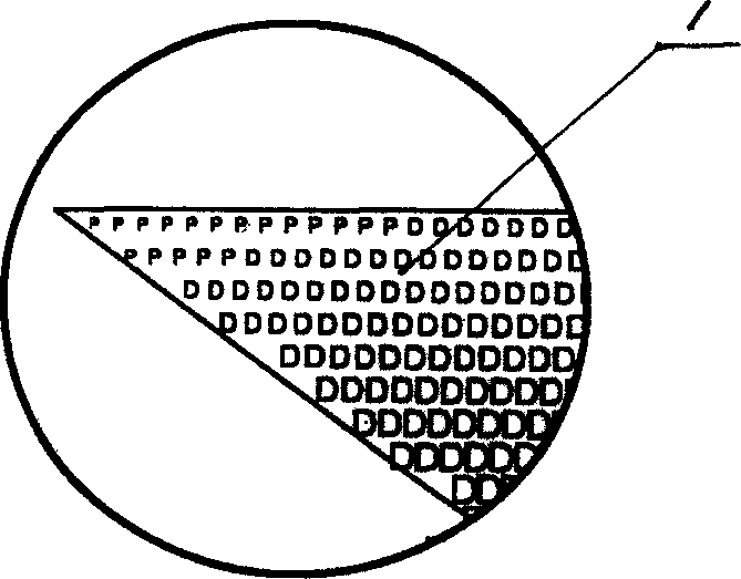 Digit two-wire anti-fake mrk label and its producing method