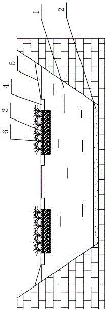 Seepweed and portunus trituberculatus co-cultivating mode in seawater pond