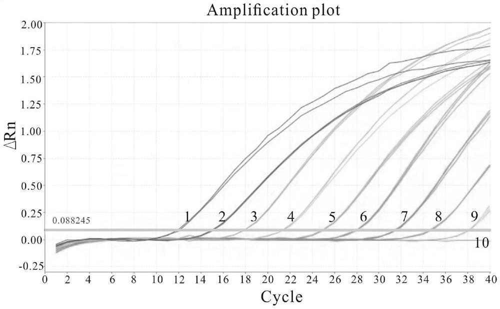 Hypothetical protein gene, primer probe group thereof and application of hypothetical protein gene and primer probe group in detection of Meiqi yeast two sharp