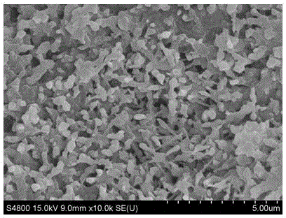 Preparation method of cancrinite molecular sieve membrane catalyst