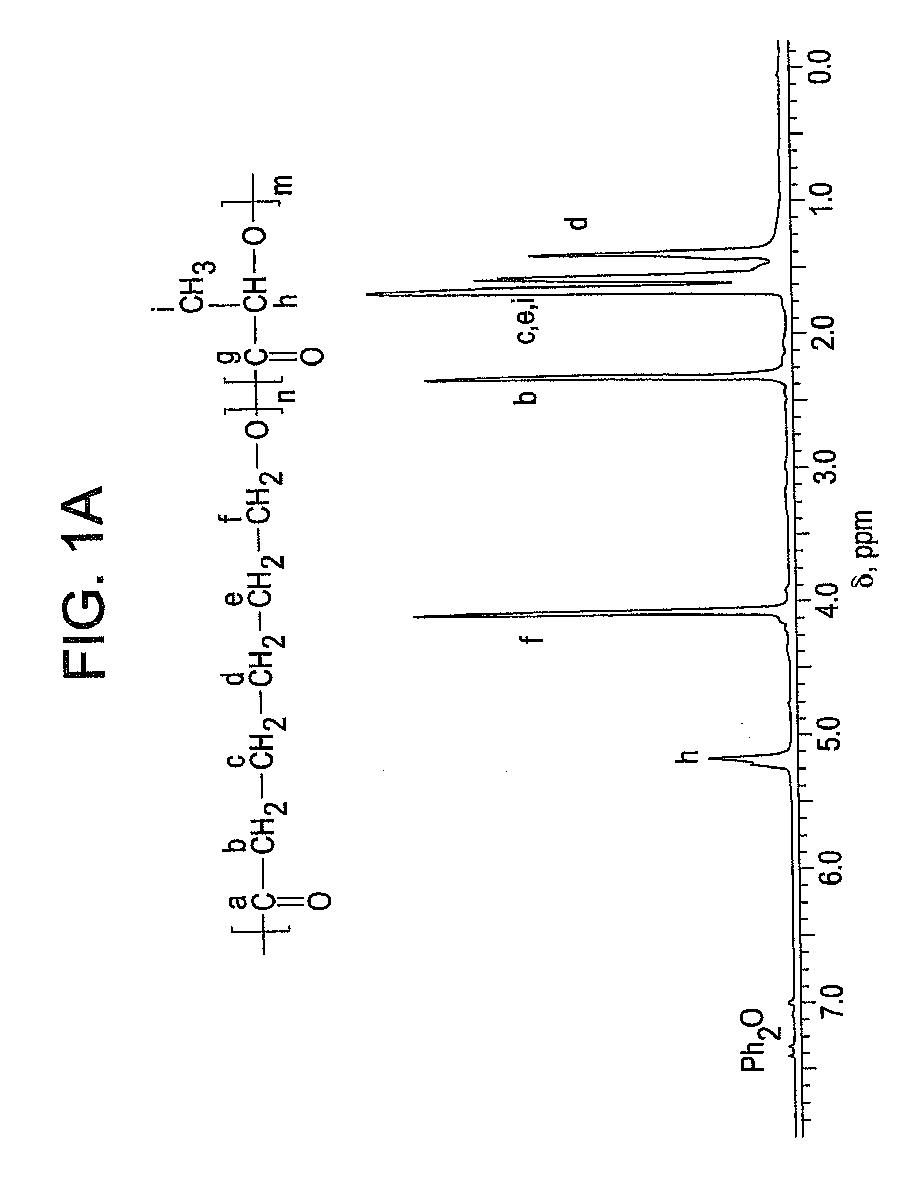 Ring-opening polymerization of cyclic esters, polyesters formed thereby, and articles comprising the polyesters