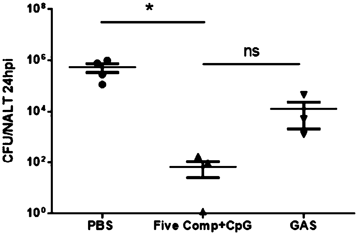 A broad-spectrum multiple subunit vaccine for preventing type a streptococcal infection