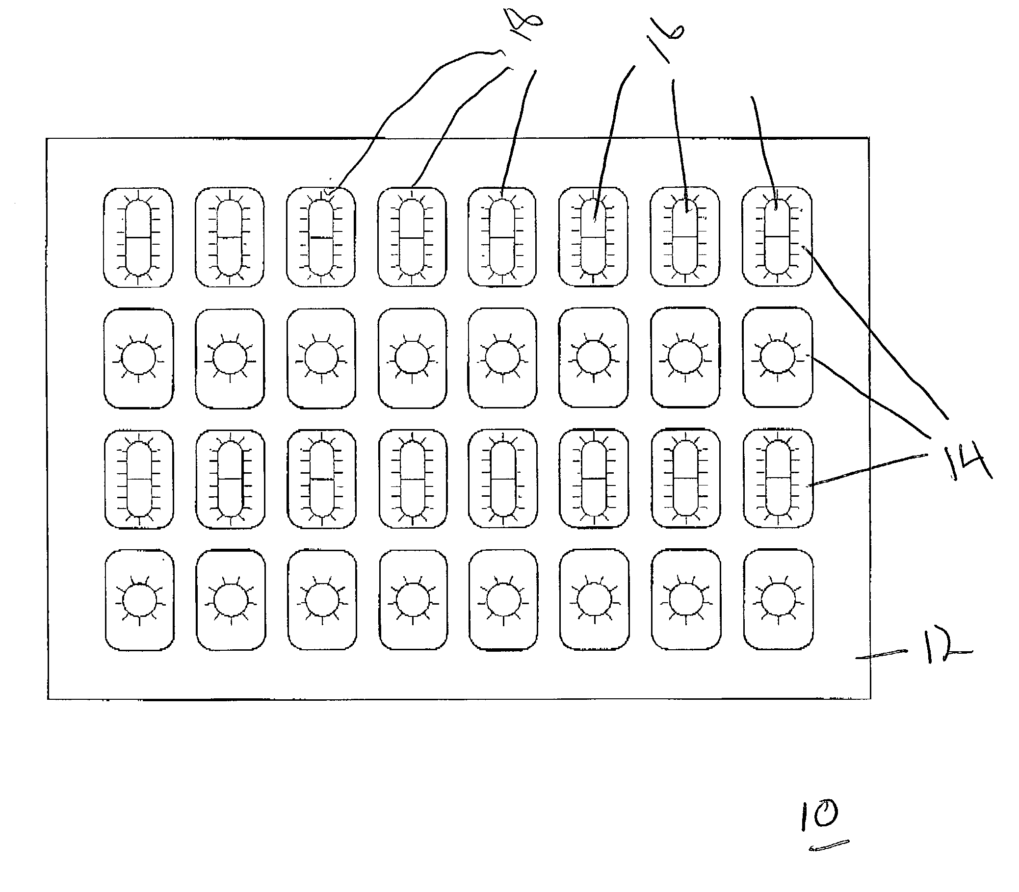 Systems and methods for forming blister packages with support members for pharmaceutical product packaging
