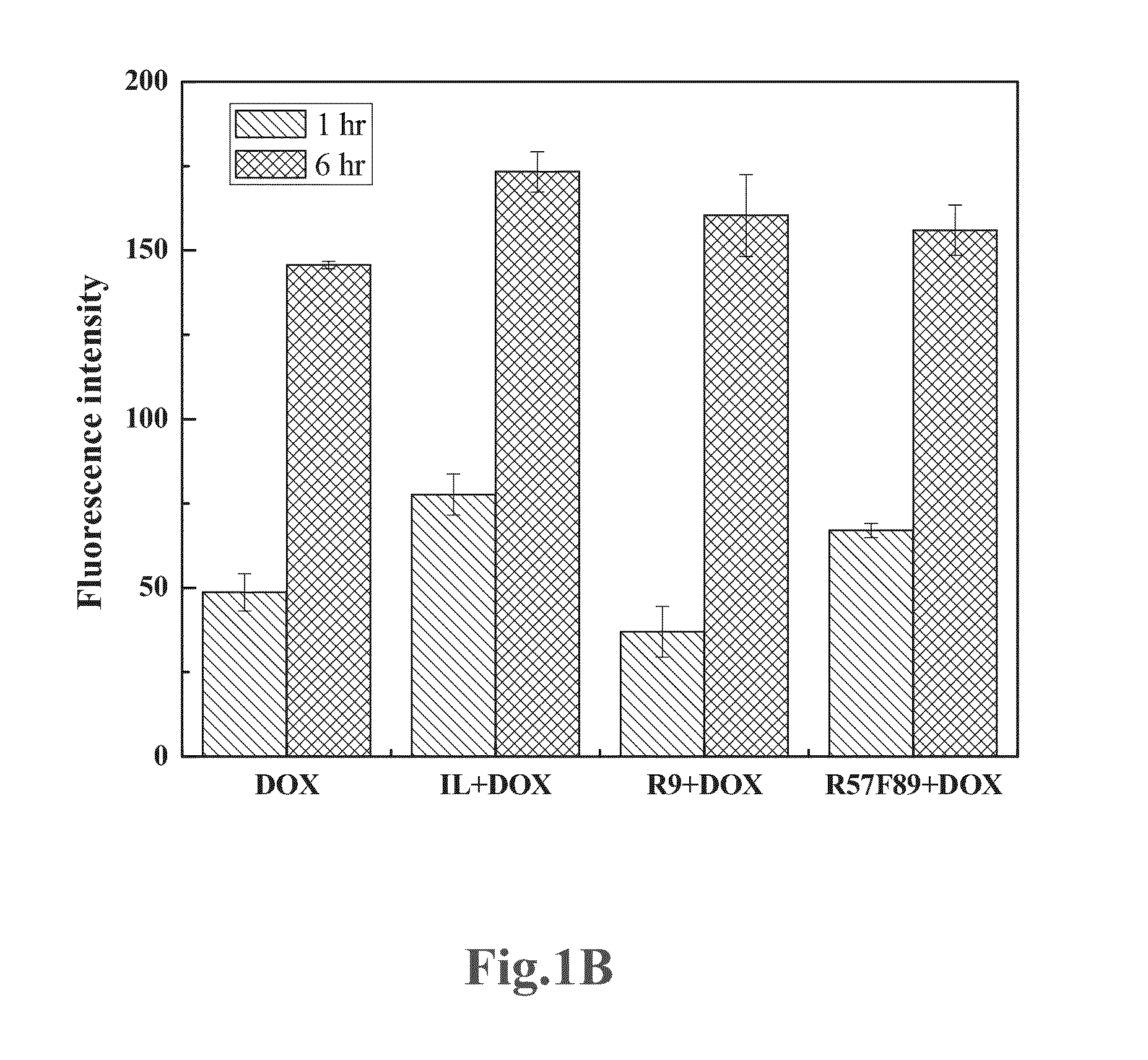 Cell-Penetrating Drug Carrier and the Application Thereof