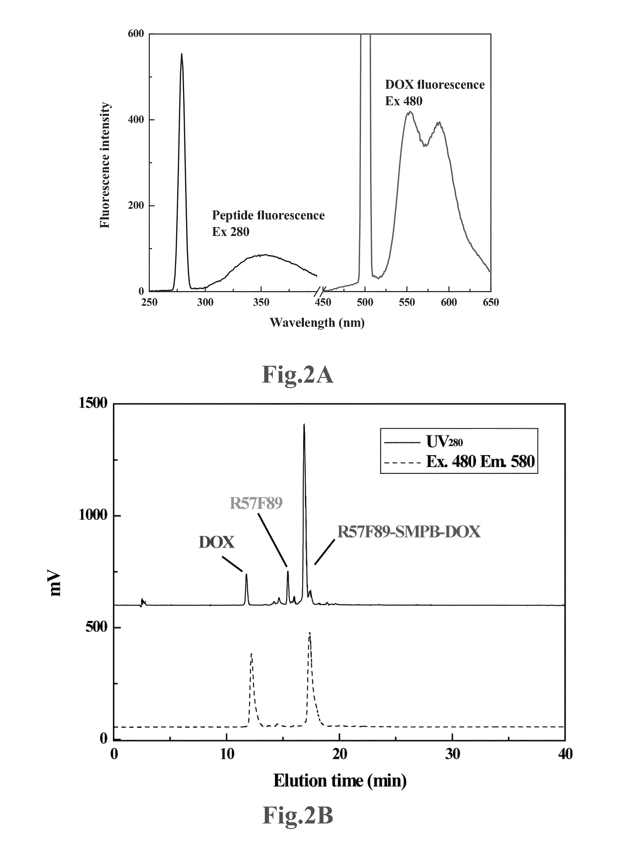 Cell-Penetrating Drug Carrier and the Application Thereof