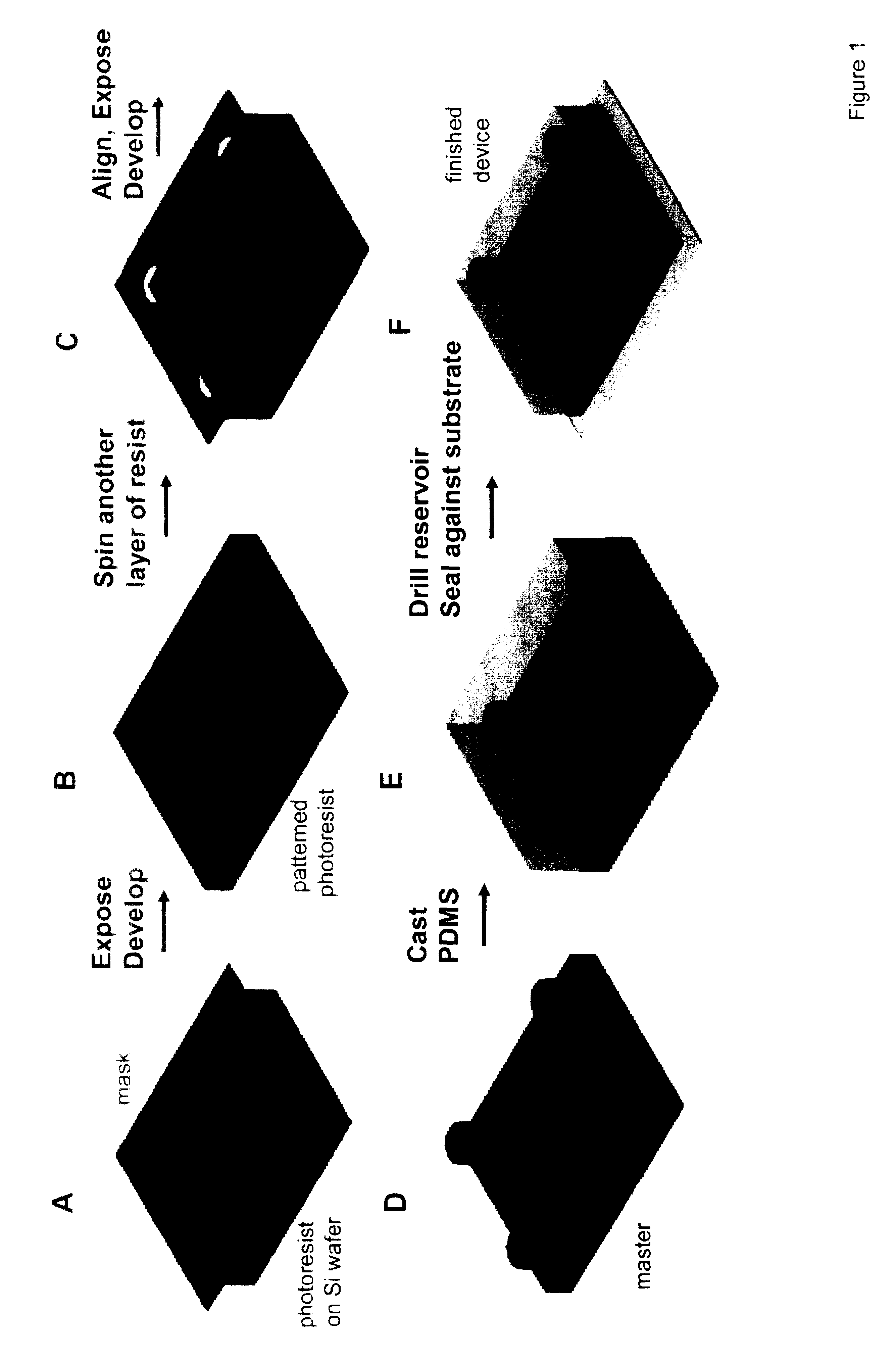 Microfluidic device for enabling fluidic isolation among interconnected compartments within the apparatus and methods relating to same