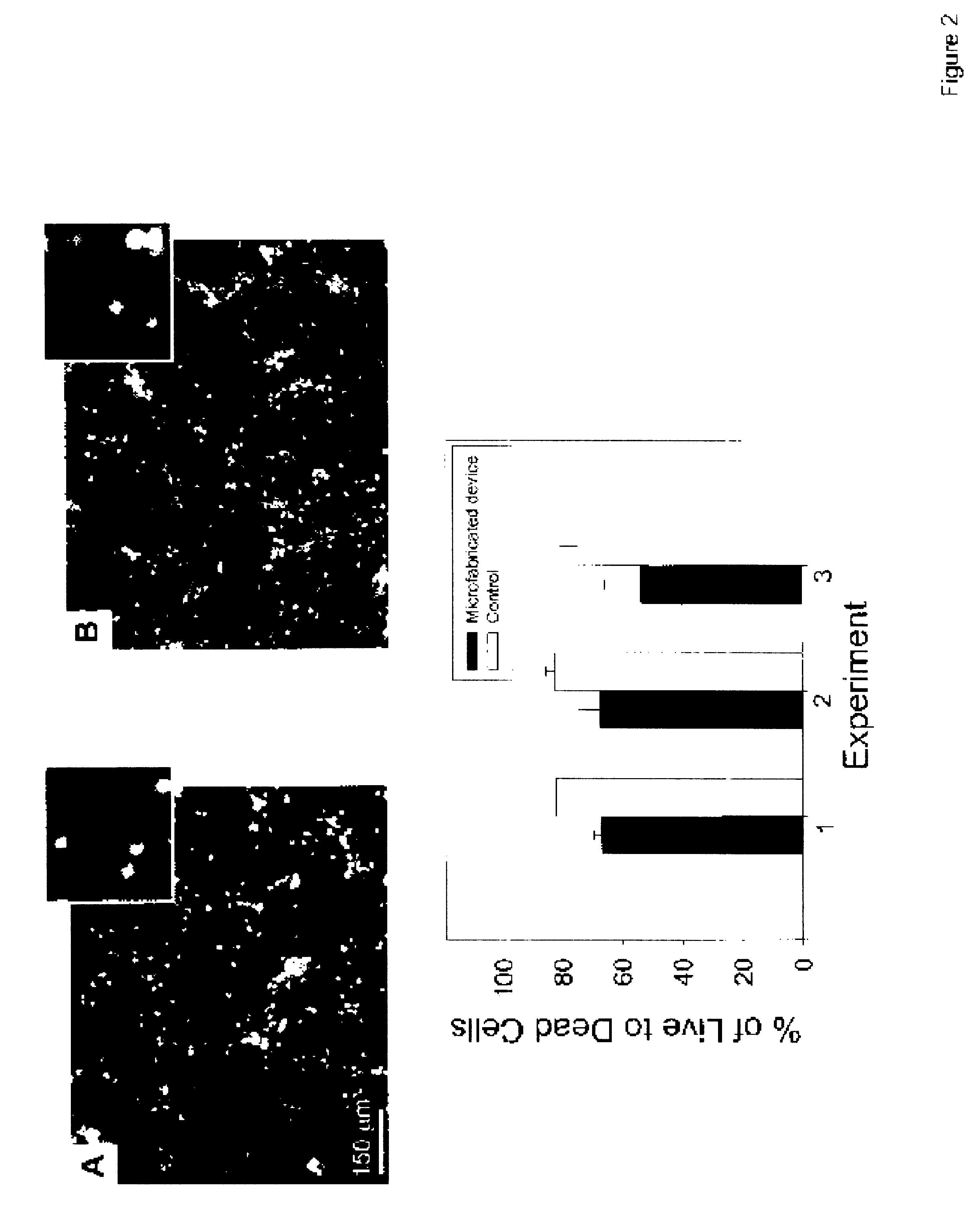 Microfluidic device for enabling fluidic isolation among interconnected compartments within the apparatus and methods relating to same