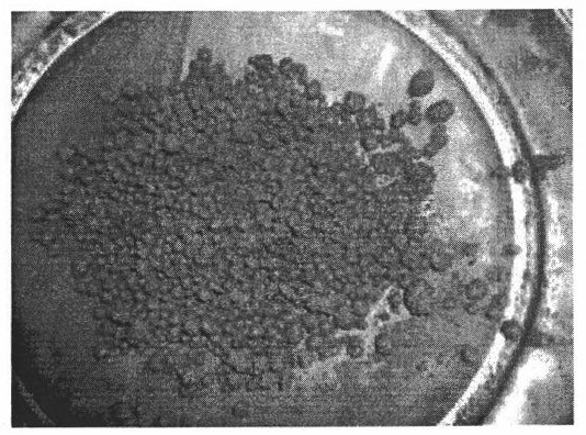 Mud ball forming agent and synthesis method thereof