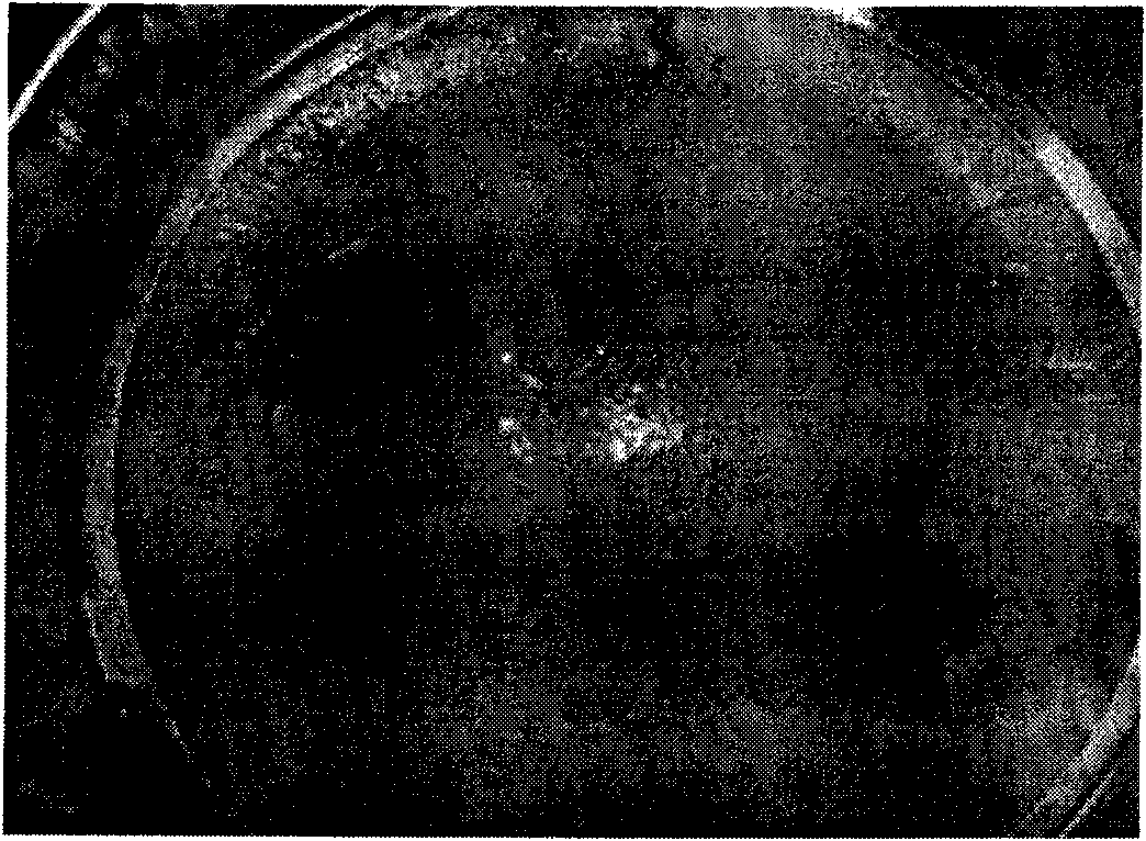 Mud ball forming agent and synthesis method thereof