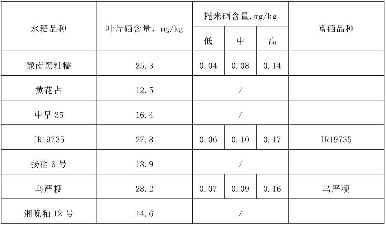 Screening method for selenium-enriched rice variety