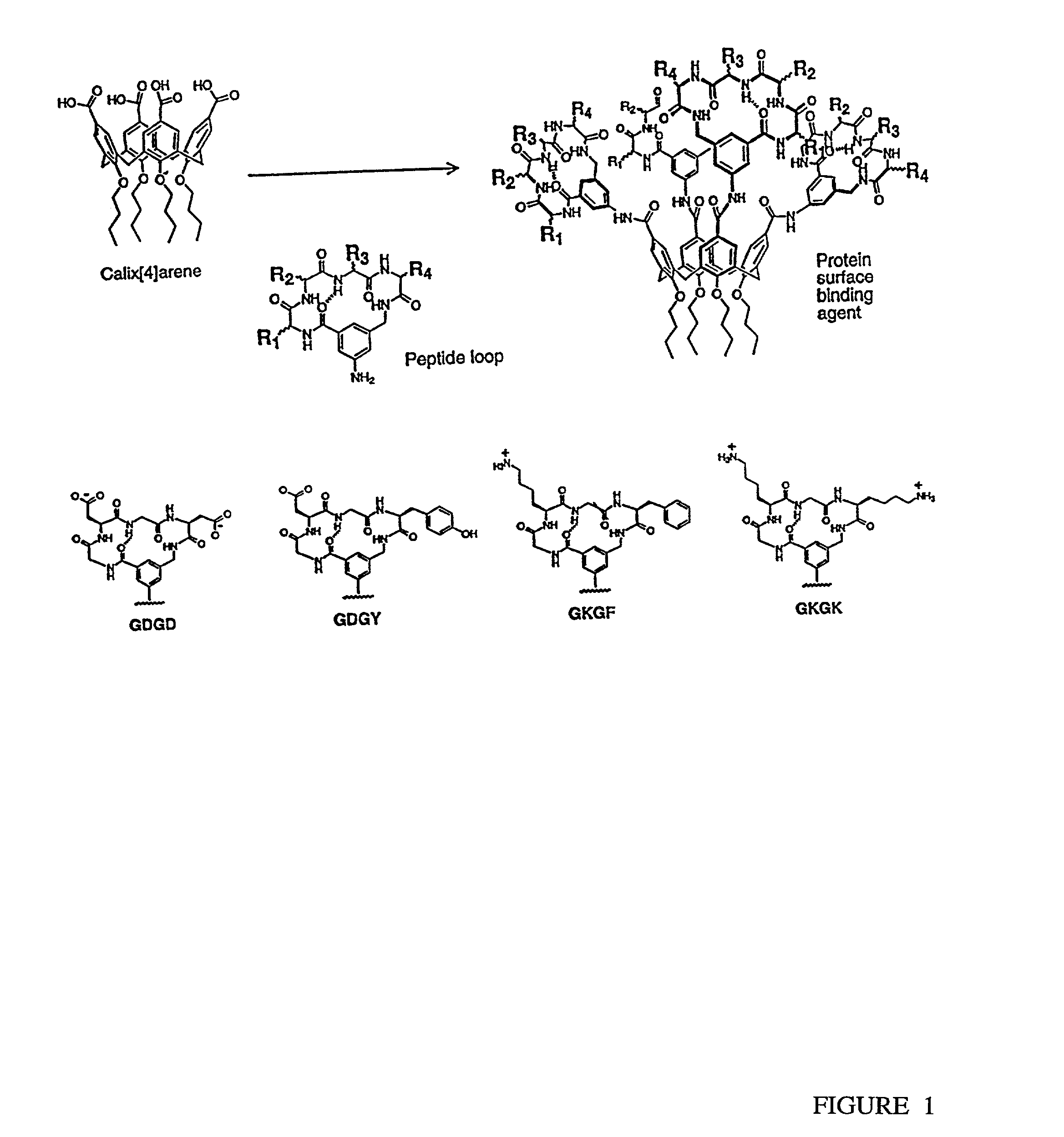Growth factor binding molecules