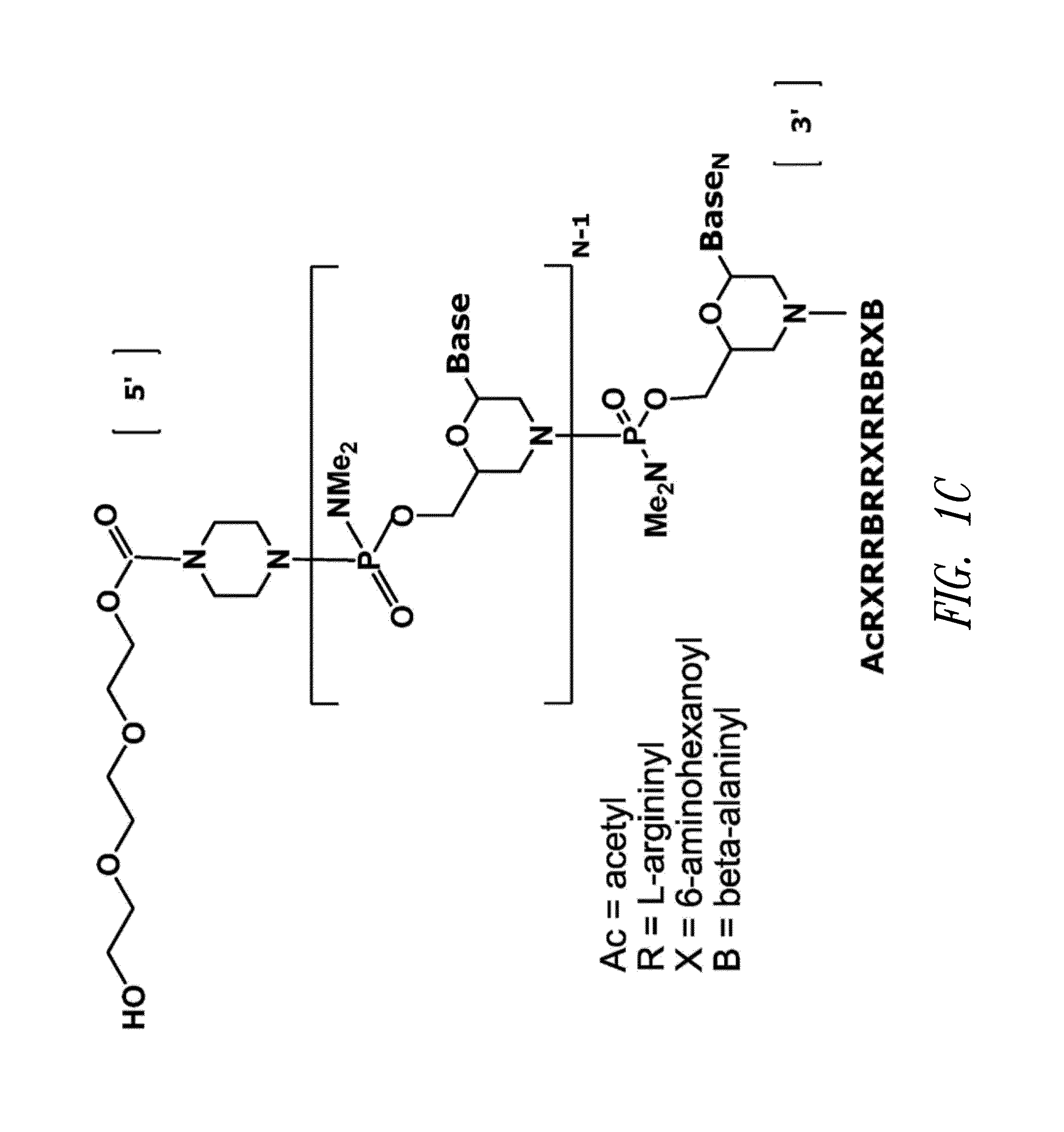 Antisense antiviral compound and method for treating influenza viral infection