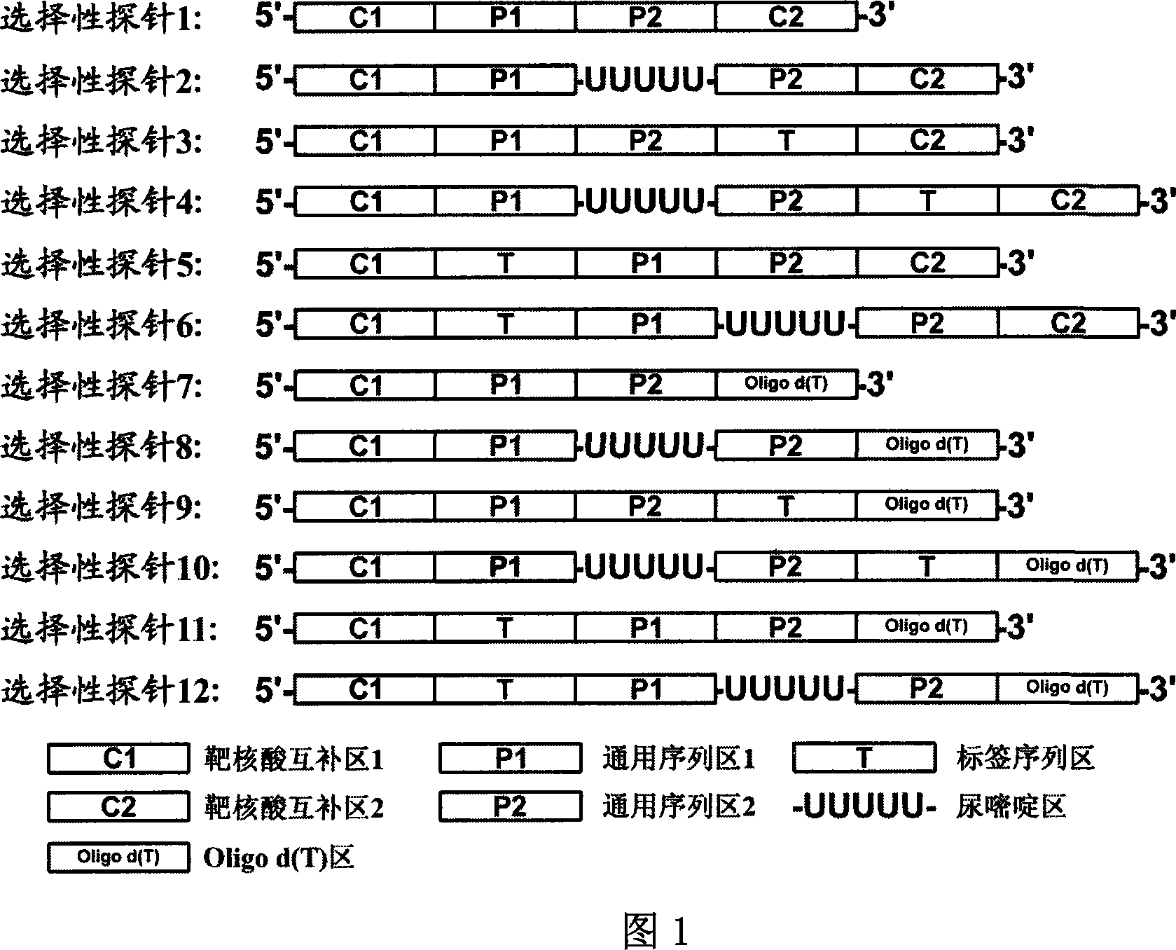 Multiple PCR method based on selective probe and application thereof
