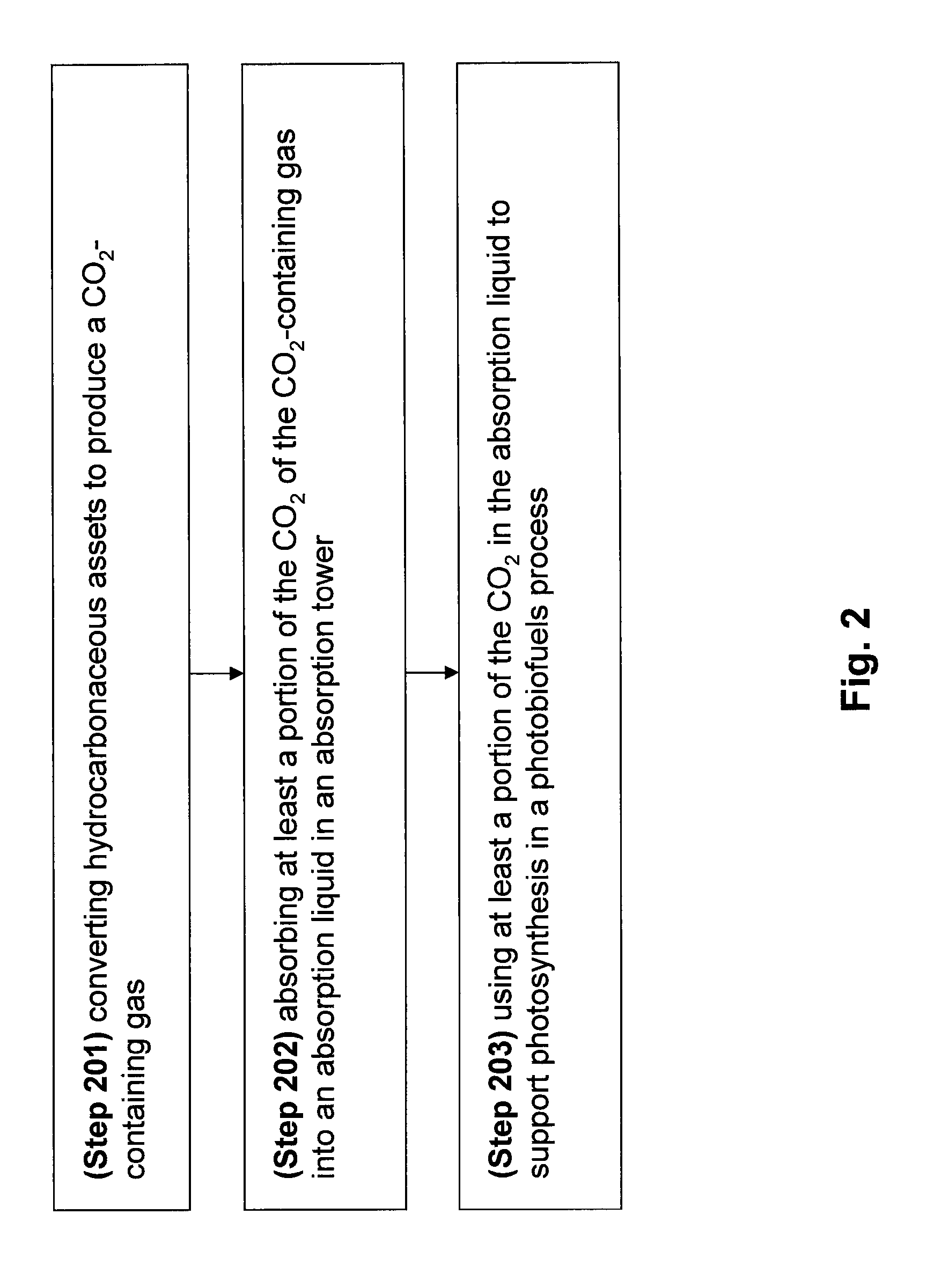 Integrated process for conversion of hydrocarbonaceous assets and photobiofuels production