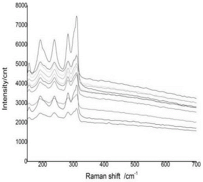 Method for Raman spectrum characterization of heterogeneous foam layer minerals in antimony ore flotation
