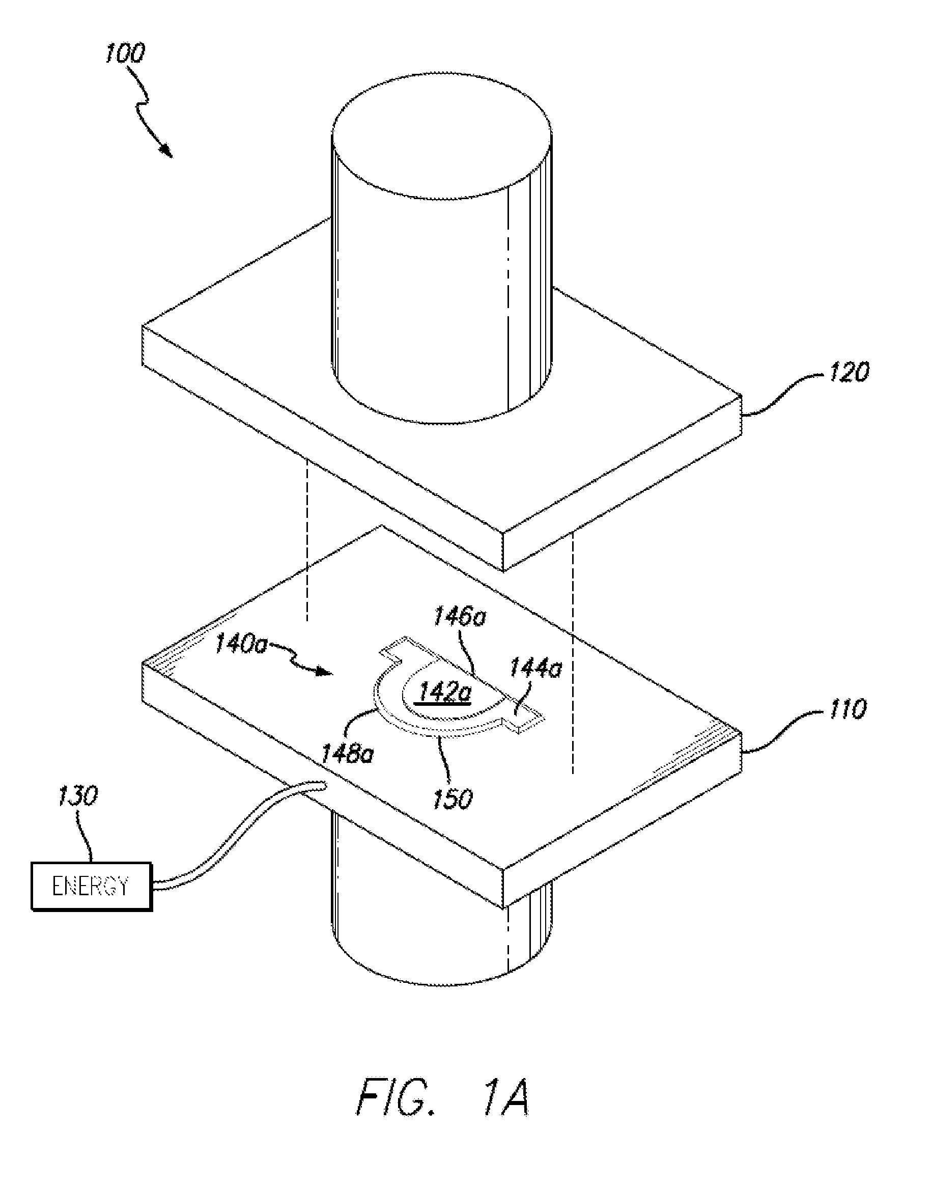 Method and apparatus for preparing a contoured biological tissue