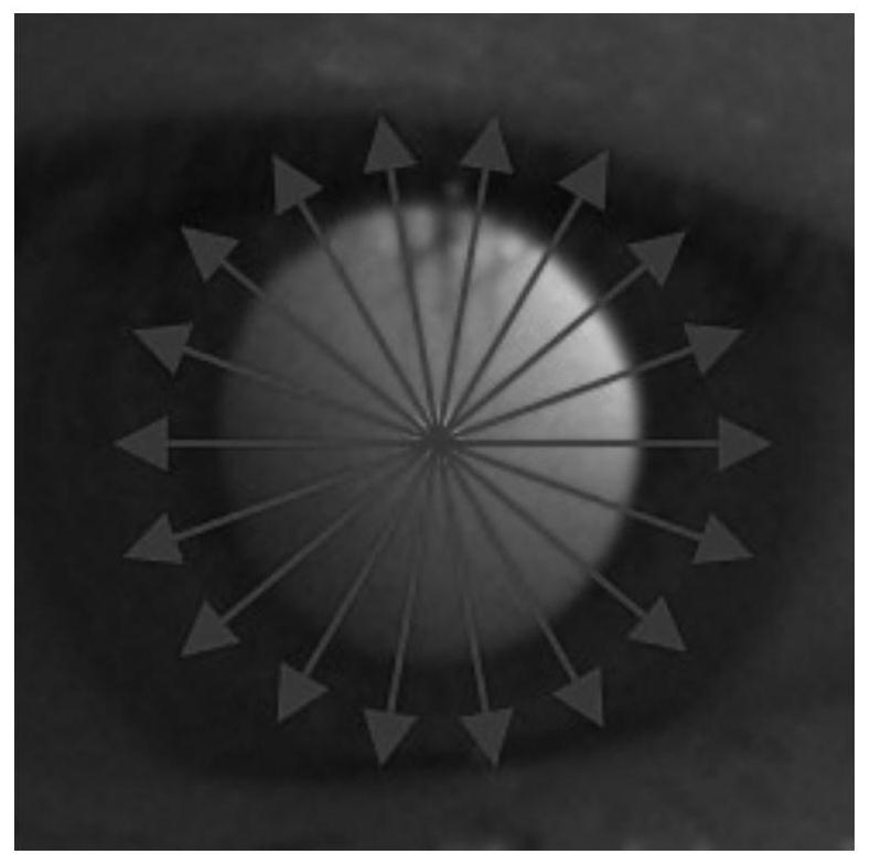 Image Processing Method for Pupil Tracking