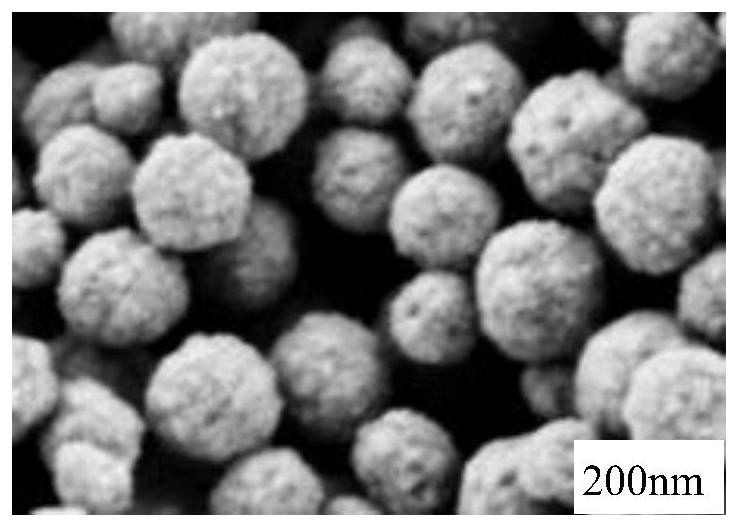 A kind of composite carrier material for biological fluidized bed and preparation method thereof