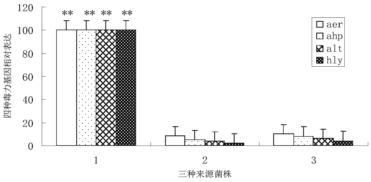 A kind of dual inactivated vaccine of Aeromonas hydrophila and Aeromonas victoria and its preparation method