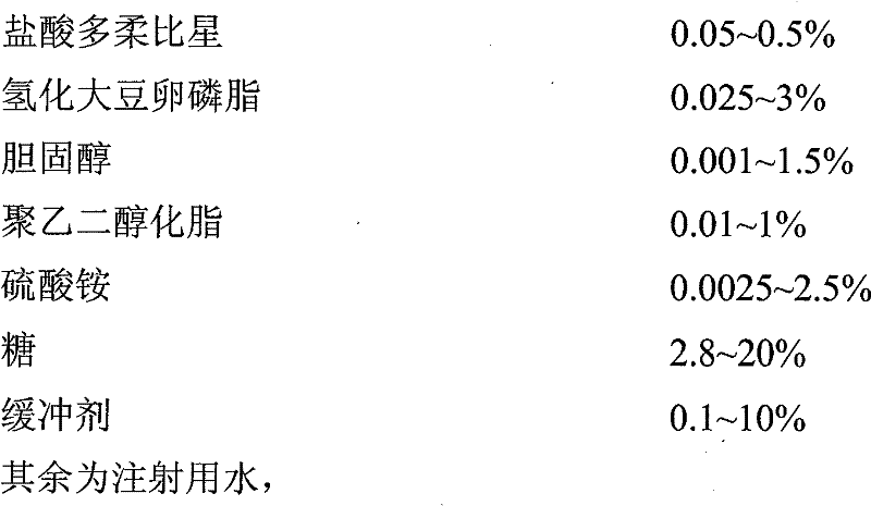 Doxorubicin hydrochloride liposome injection and preparation technology thereof