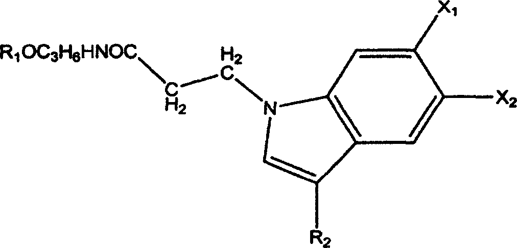 Amide derivative of indole, its preparation method and application