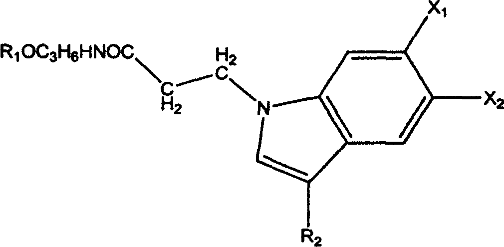 Amide derivative of indole, its preparation method and application