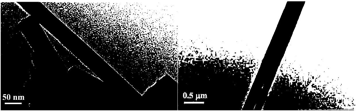 Method for preparing sodium columbate nanowire by cation exchange approach