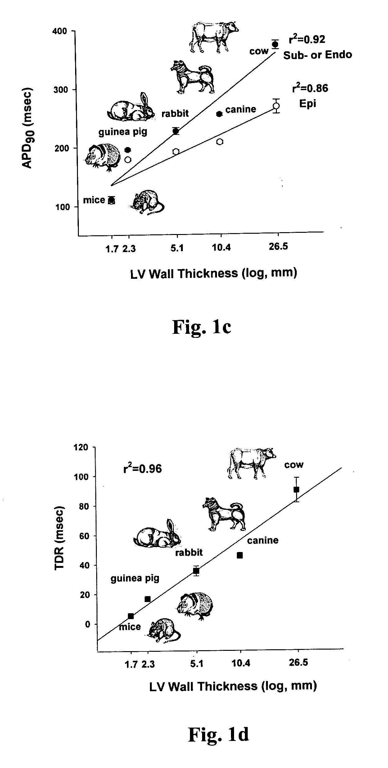 Methods for screening compounds for proarrhythmic risk and antiarrhythmic efficacy