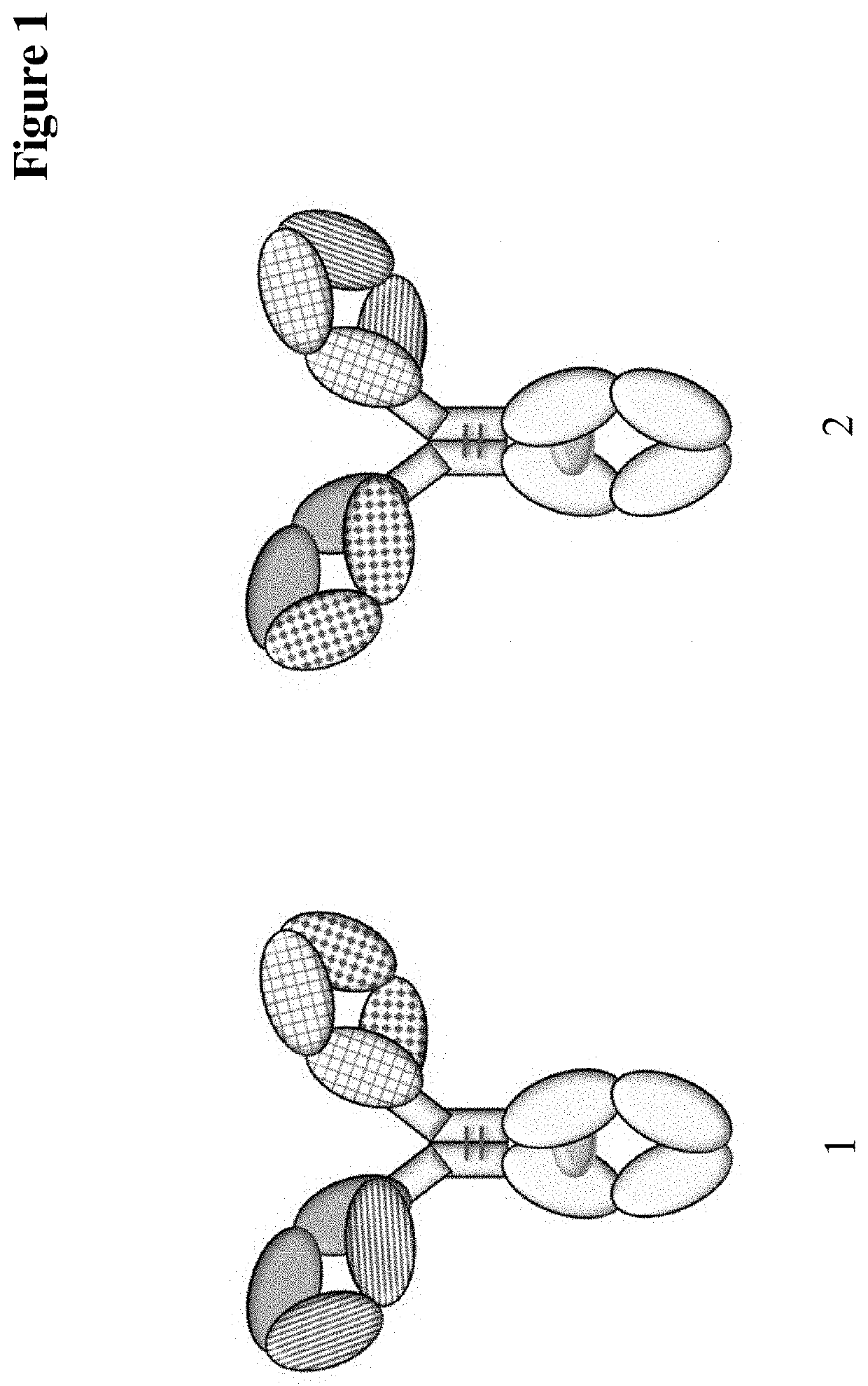 Method for detecting multispecific antibody light chain mispairing