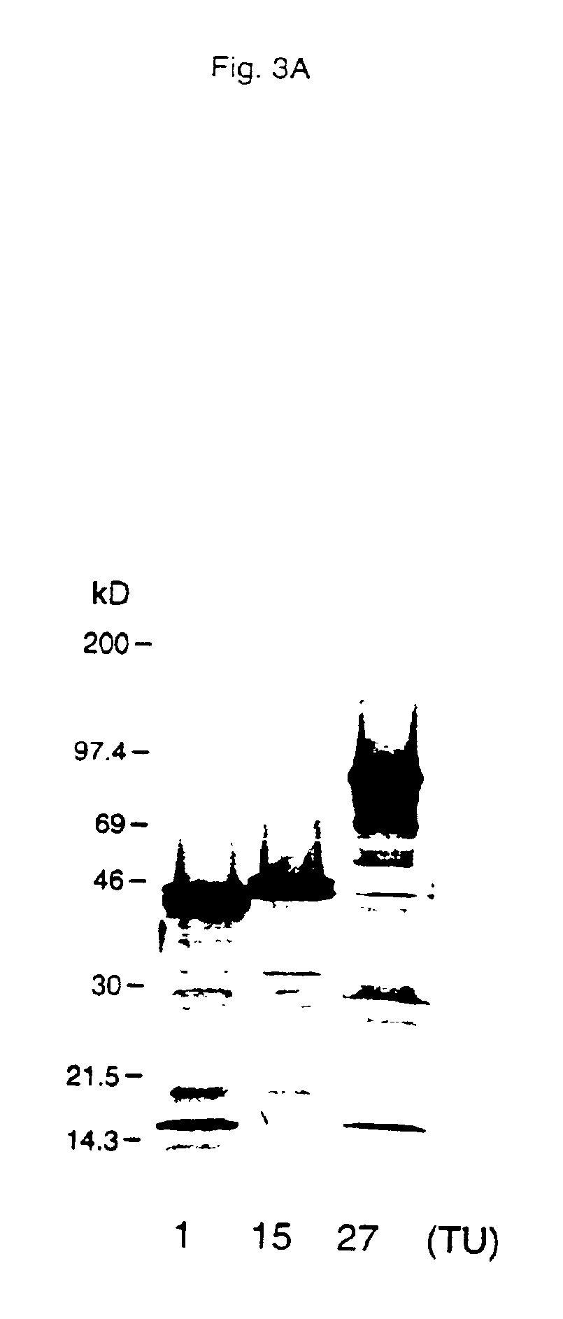 TNF receptor death domain ligand proteins and inhibitors of ligand binding