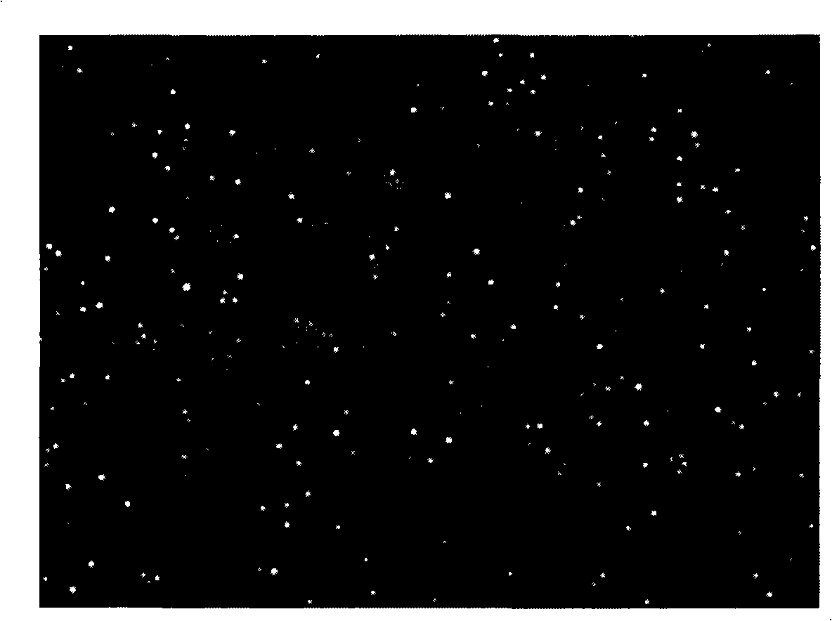 Novel targeted microbubble contrast medium