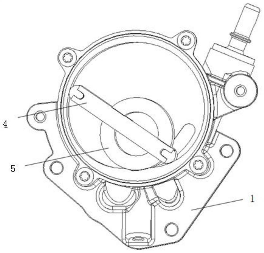 Mechanical vacuum pump