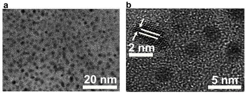 Method for preparing fluorescent silica nanoparticles by ultraviolet light radiation