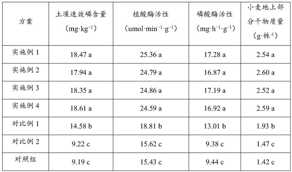 A kind of soil phosphorus activator and its preparation method, application method and application