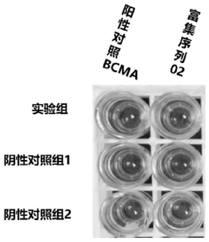 A preparation method and application of fully human CAR-T cells targeting CD276