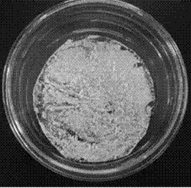 Separation and purification method of beauveria bassiana