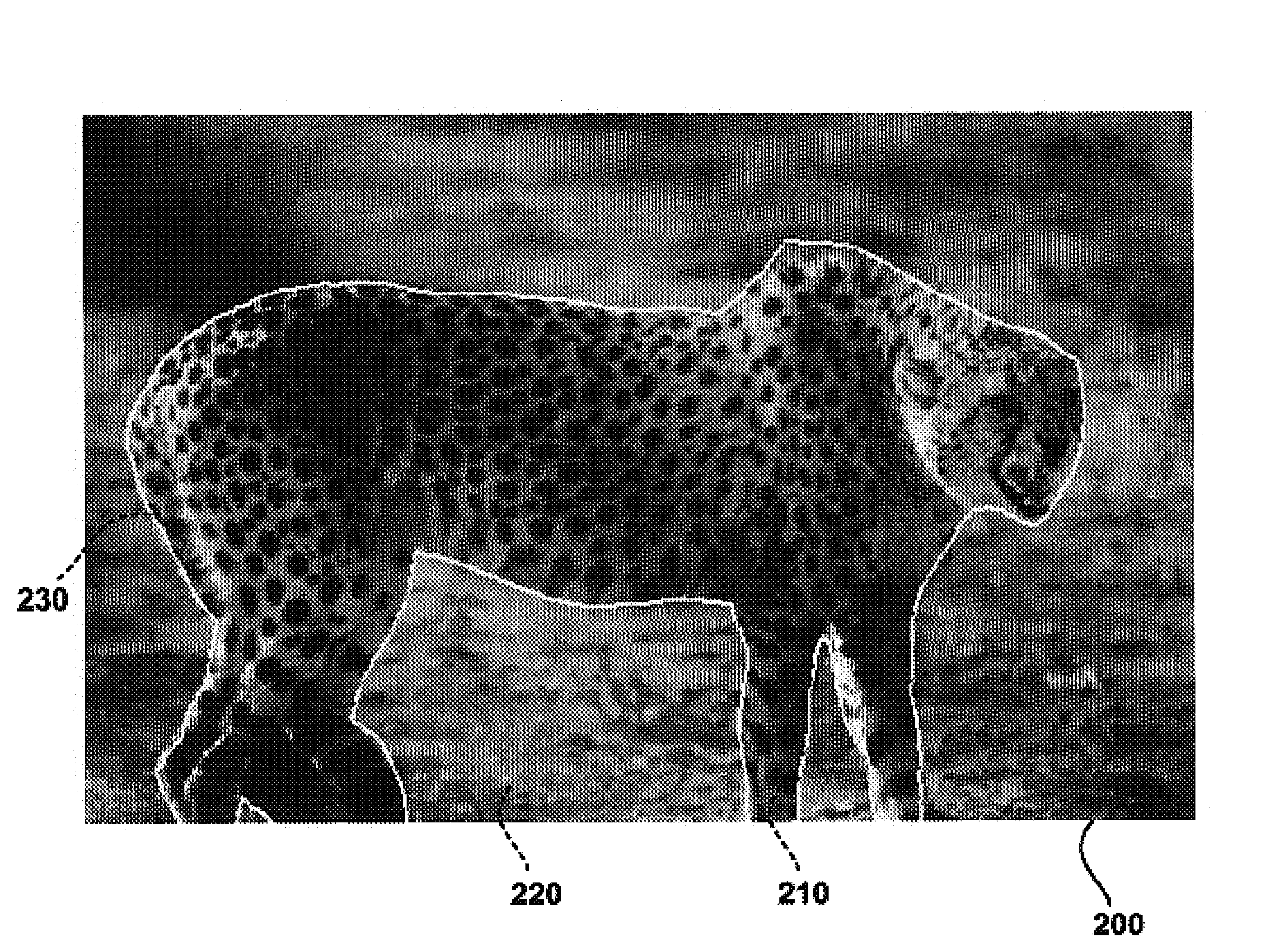 Methods and system for providing image object boundary definition by particle filtering