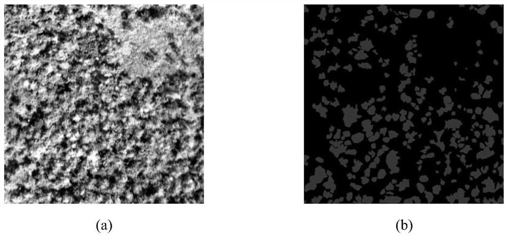 Rapid detection method of UAV hyperspectral pine wood nematode disease based on decoupled risk estimation