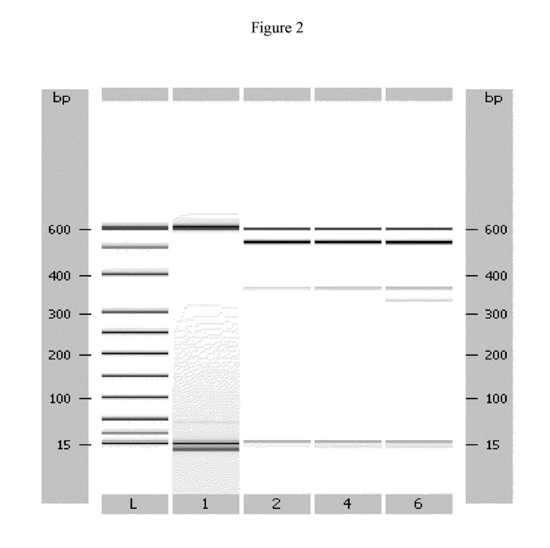 Ophthalmic Device, and Method of Use Thereof, for Increasing Ocular Boundary Lubrication